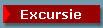 Excursie